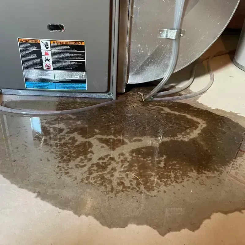 Appliance Leak Cleanup in Dardenne Prairie, MO